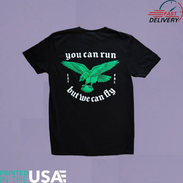 You can run but we can fly shirt