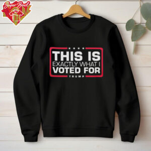 This is exactly what I voted for Trump shirt