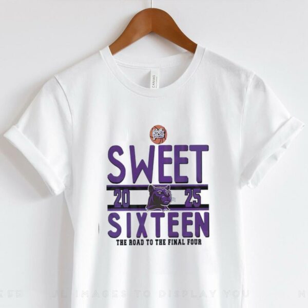 Sweet sixteen the road to the final four RC Edwards Panthers logo shirt