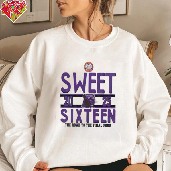 Sweet sixteen the road to the final four RC Edwards Panthers logo shirt