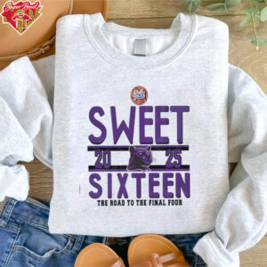 Sweet sixteen the road to the final four RC Edwards Panthers logo shirt